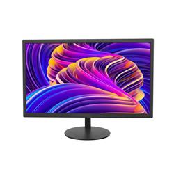 MONITOR 19